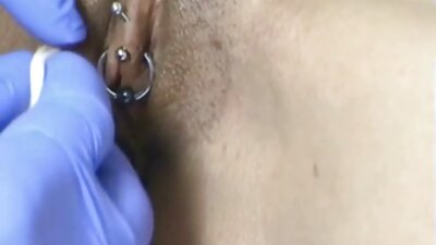 ஆண் நைஸ் ஃபக்ஸ் அண்ட் லோயர்ஸ் இன் தி ஆஸ்