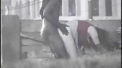 கழுதையில் விரலை வைத்து உற்சாகமாக டிரம்ஸ் செய்கிறார்